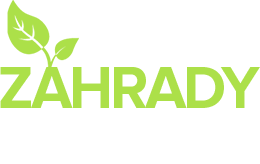 Primary Raster logo